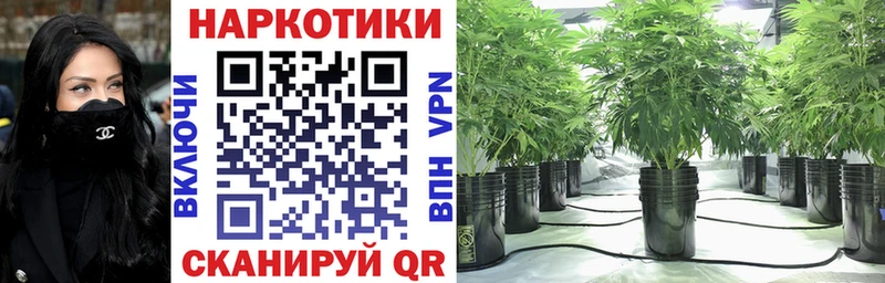 Купить закладку Cocaine  Мефедрон  Альфа ПВП  АМФЕТАМИН  ГАШ  Конопля  Новотроицк