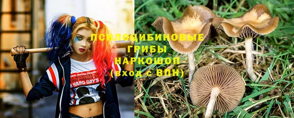 мескалин Заводоуковск