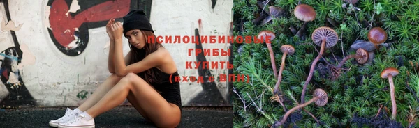 mdpv Зеленодольск