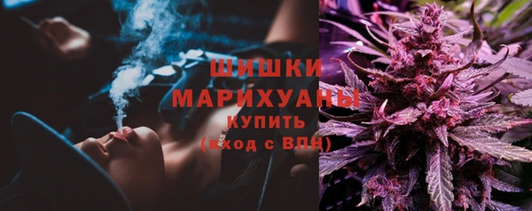 эйфоретик Сосновка